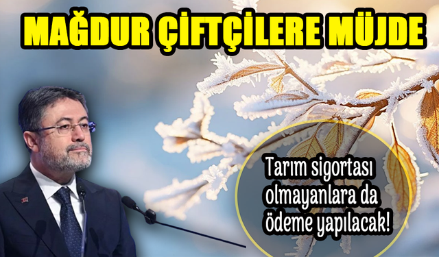 Tarım Bakanı Yumaklı: Sigortasız Çiftçilere de Destek Verilecek