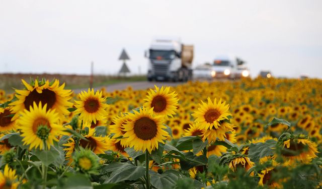 Tarıma Dijital Dokunuş: E-Ticaret, İHA’lar ve Esnek Çalışma Kanunu Gündemde