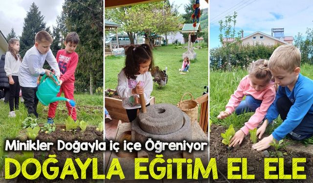 Bu Okulda Sınıf Yok, Hayat Var! Minikler Doğayla İç İçe Öğreniyor