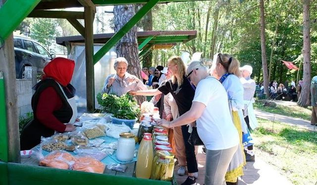 Samsun’da ‘Yöresel Ot Yemekleri Festivali’ başladı