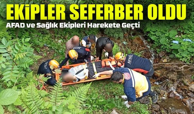 Rize'de Ağaç Keserken Yaralanan Yaşlı Adamı Ekipler Kurtardı