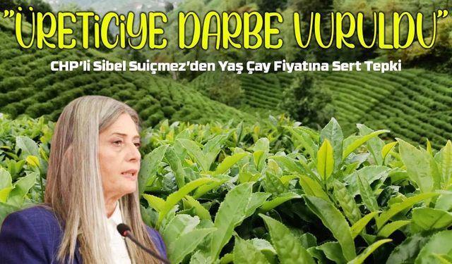 CHP’li Sibel Suiçmez’den Yaş Çay Fiyatına Sert Tepki: “Üreticiye Darbe Vuruldu”