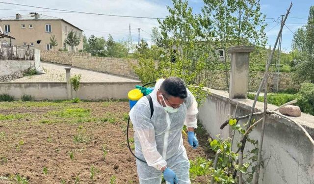 Aydıntepe’de yabancı ot mücadelesi başlatıldı