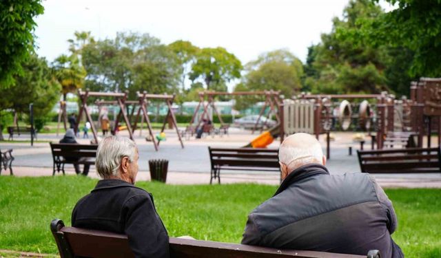 Samsun’da hanehalkı eriyor: 16 yıldır sürekli düşüşte