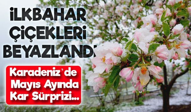 Artvin’de Mayıs Ayında Kar Sürprizi: Köy Beyaza Büründü