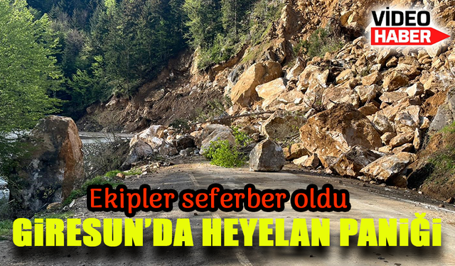 Giresun’da Heyelan Paniği: Yol Gece Saatlerinde Kapanınca Ekipler Seferber Oldu