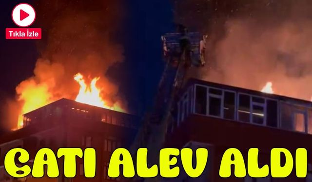 Trabzon'da Gece Yarısı Yangın Paniği: Apartman Çatısı Alev Alev Yandı