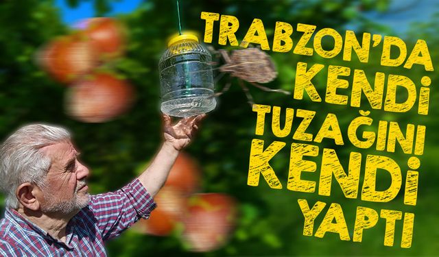 Trabzon’da Kendi Tuzağını Kendi Yaptı! Kahverengi Kokarcaya Karşı Bekar’ın Azmi
