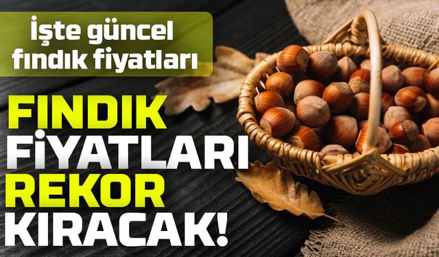 14 Mayıs 2025 Fındık Fiyatlarında Büyük Düşüş! İşte Güncel Rakamlar