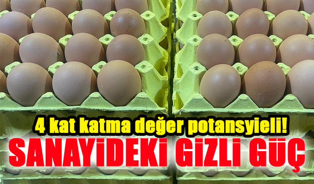 Yumurtanın Sanayideki Gizli Gücü: Kabuğu Bile Değerli