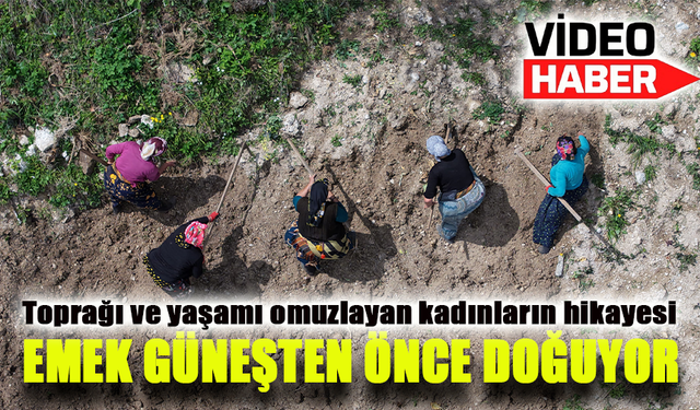 Karadeniz’de Emek Güneşten Önce Doğuyor!