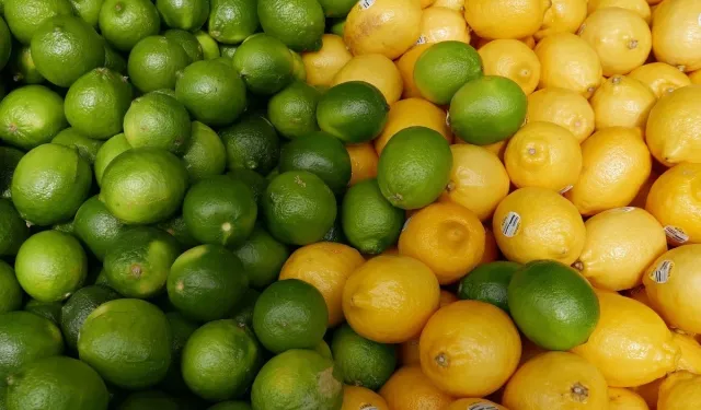 Nisan'da Fiyatlar Uçtu: Limon, Dijital Abonelik ve Elektrik Zirvede!