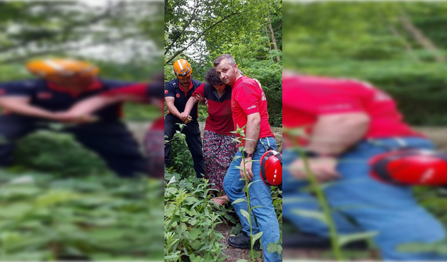Rize'de Kayıp Kadın Gölette Yaralı Halde Bulundu