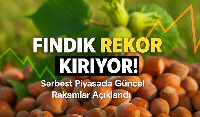 Fındıkta Kritik Eşik! Serbest Piyasada Şehir Şehir Şok Fiyatlar Açıklandı