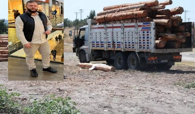 Tomruk Devrildi, Orman İşçisi Hayatını Kaybetti