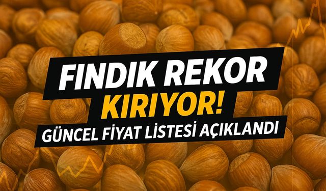 Fındıkta Şaşırtan Yükseliş! Giresun Kalite Fiyatları Rekor Seviyede
