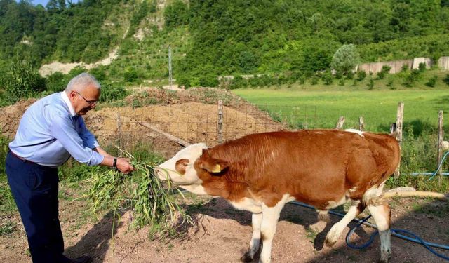 Ordu’da besicilerin yüzünü güldürüp, verimi arttıran destek