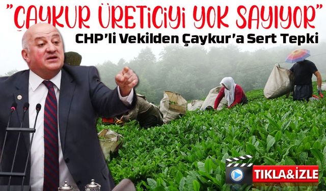 Çaykur’un Politikaları Tepki Çekiyor: Üretici Açlığa Mahkum Ediliyor