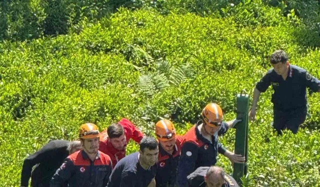 Fındık bahçesinde yamaçtan yuvarlanan kadın hayatını kaybetti