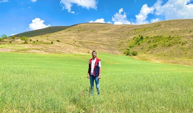 Bayburt’ta Yem Bitkileri İçin Saha Çalışmaları Aralıksız Sürüyor