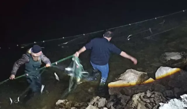 Van Gölü'nde Kaçak İnci Kefali Avına 2,7 Milyon TL Ceza