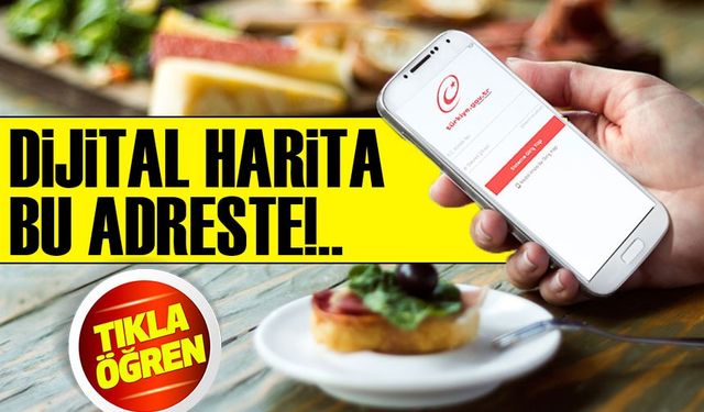 Arsa ve Konut Alacaklara Büyük Kolaylık! Ulusal Coğrafi Bilgi Platformu e-Devlet’te