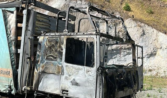 Artvin-Borçka Yolunda Seyir Halindeki Tır Alev Alev Yandı