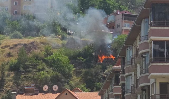 Dut Kaynatırken Ateşe Tutuldu! Müstakil Evde Feci Yangın