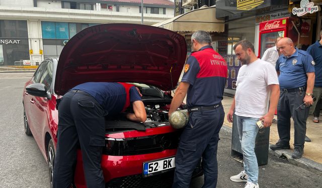 İtfaiye Seferber Oldu! Motordan Kedi Çıktı...