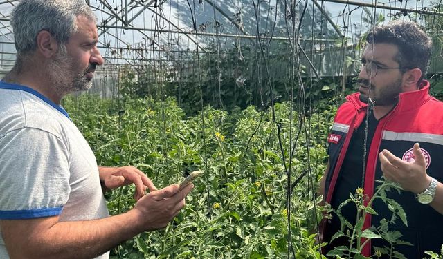 Şimdi Sinekler Düşünsün! Bayburt'ta Biyoteknik Mücadele Başladı