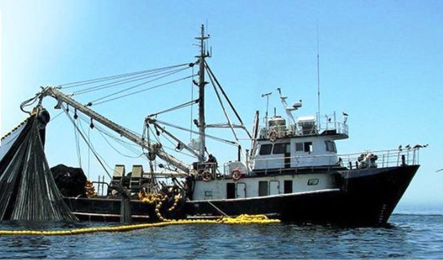 Samsun'da 2025’te 65 Bin 658 Ton Balık Üretimi Hedefleniyor