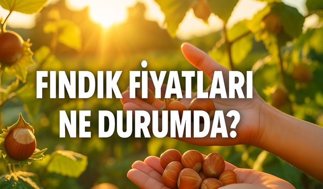 “Fındıkta Bugünden Yükseliş Alarmı: Serbest Piyasada Ortalama 223 TL’yi Gören Fiyatlar Üreticiyi Sevinçle Bekliyor!”