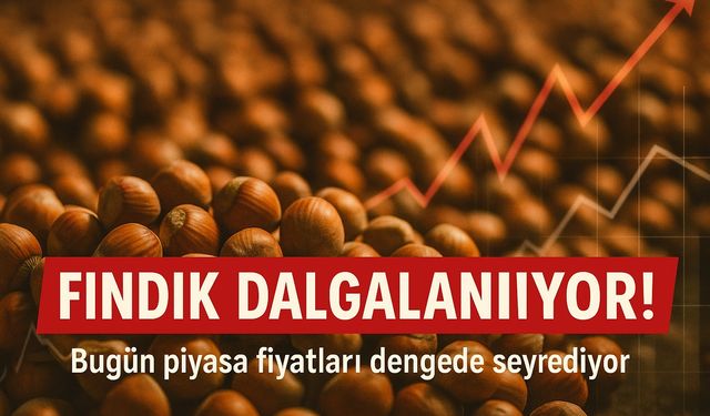 Bugün piyasa fiyatları dengede seyrediyor ; Fındık Fiyatlarında Büyük Dalgalanma!