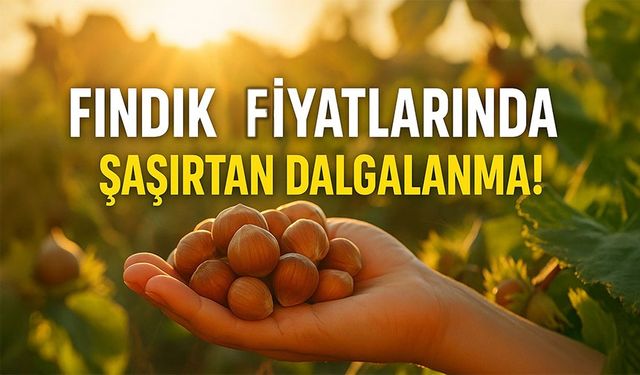 Fındık Fiyatları Zirveyi Zorluyor: Hasatın Getirdiği Şaşırtıcı Rakamlar!