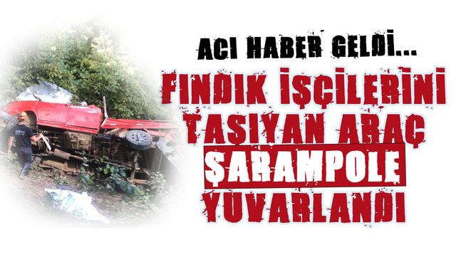 Fındık İşçilerini Taşıyan Araç Şarampole Devrildi! Acı Haber Geldi...