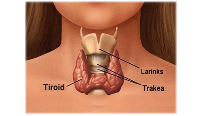 Zehirli Guatr Belirtilerine Dikkat! Uzmanı Hayati Uyarılar Yaptı