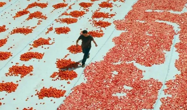 Hemme'nin Öldüğü Günlerden Biri Konusu Ne? Oyuncuları Kim?