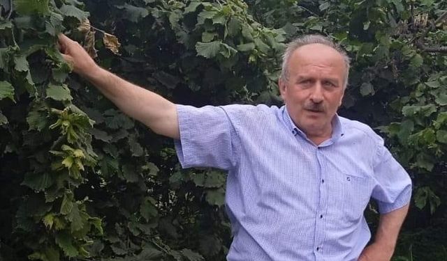 Foşa Fındığına Arsin Mührü! Türkiye’ye Örnek Olacak