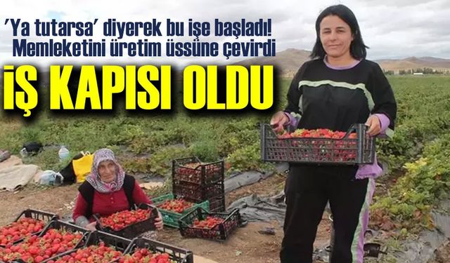 Bayburt’ta 20 Dönümlük Çilek Tarlası 15 Kadına İş Kapısı Oldu
