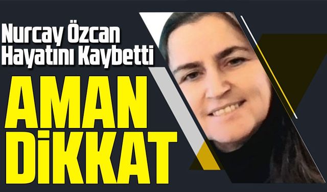 Fındık Bahçesinde Arı Soktu, Nurcay Özcan Hayatını Kaybetti