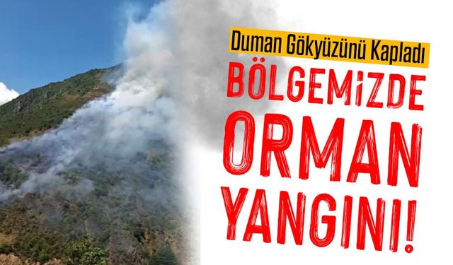 Bölgemizde İki Yer Alevlere Teslim Oldu! Duman Gökyüzünü Kapladı