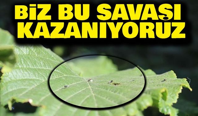 Trabzon Ortahisar Ziraat Odası Başkanı Mustafa Bekar: “9 Yılda Çiftçimizin Yanında Olduk”