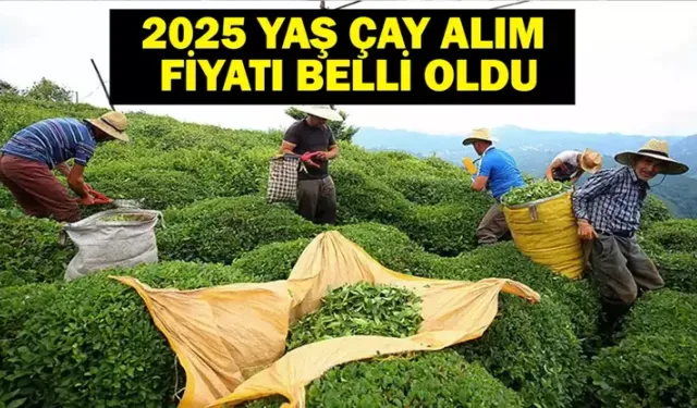Çayda Bugün Fiyat Şoku Patladı: ÇAYKUR ve Özel Sektör Karşı Karşıya