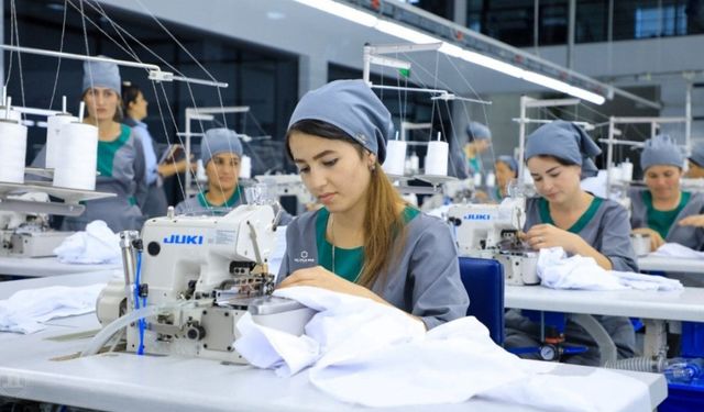 TÜİK Verileri Alarm Veriyor: Genç Kadınların Yarısı Üretim ve Eğitim Dışında