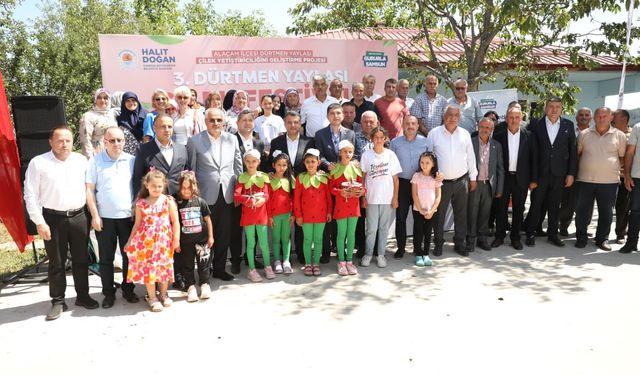 6 İlçede 350 Bin Fide! Çilek Festivaline Yoğun İlgi