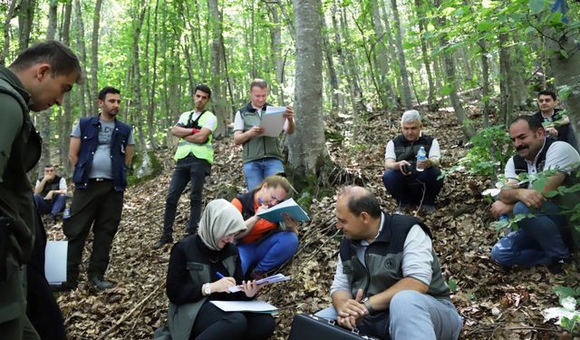 Samsun Ormanlarına 426,9 Milyon TL’lik Yatırım