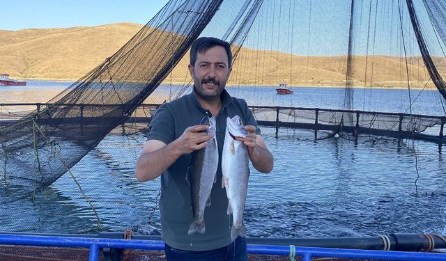 Alabalıklar Somon Oldu! Tonlarca İhraç Ediliyor...