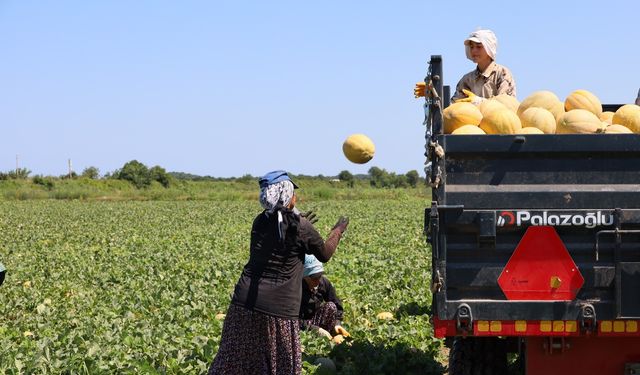 Kadın İşçiler Ekmek Parasını Topraktan Çıkartıyor