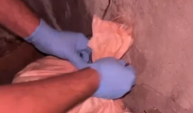 Bu Kez de Arı Kovanına Gizlediler! Zehir Tacirlerine Darbe