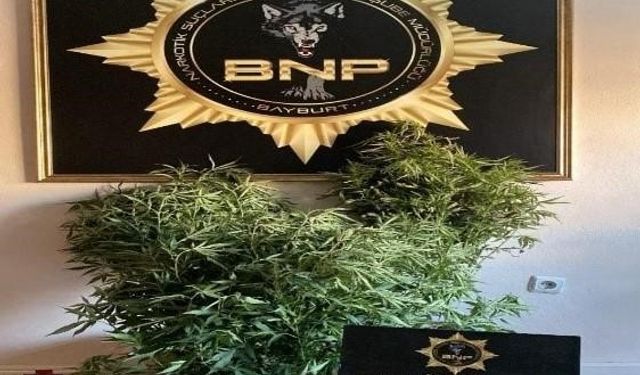 Bayburt'ta Eş Zamanlı Narkotik Operasyonu